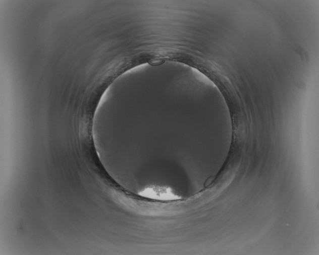 X0000113080044200909250958