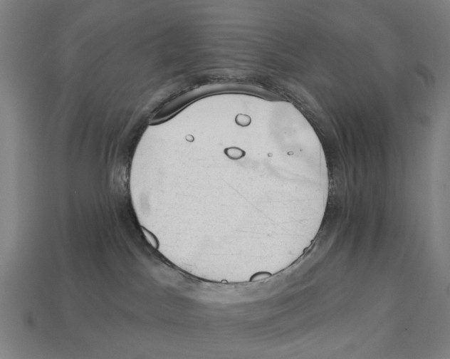 X0000113080045200909250958