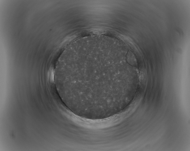 X0000113080046200909250958
