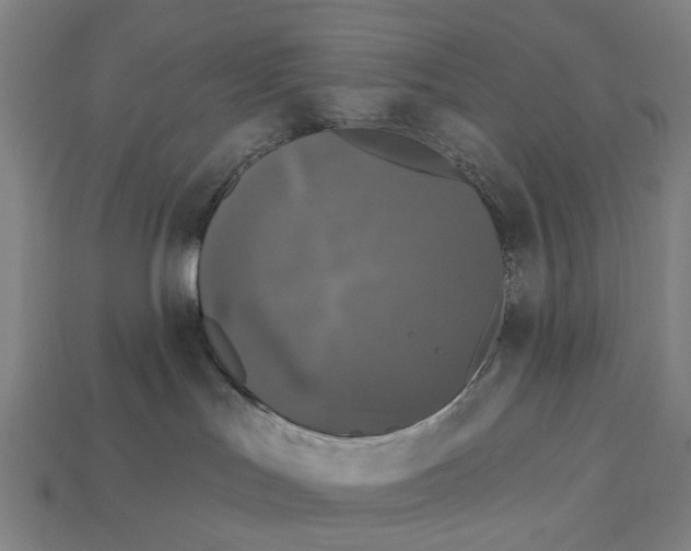 X0000113080047200909250958