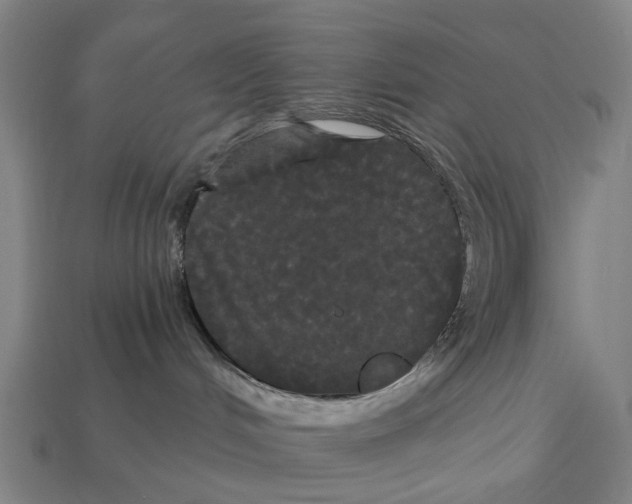 X0000113080048200909250958