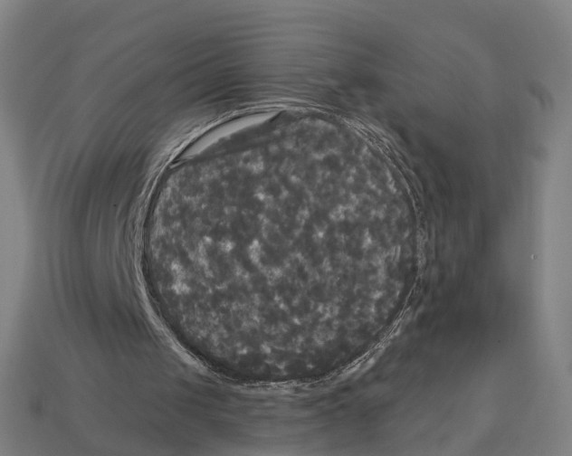 X0000113080049200909250957
