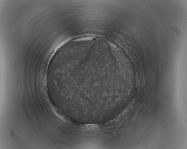 X0000113080050200909250957