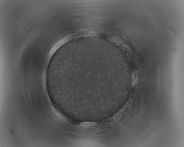 X0000113080051200909250957