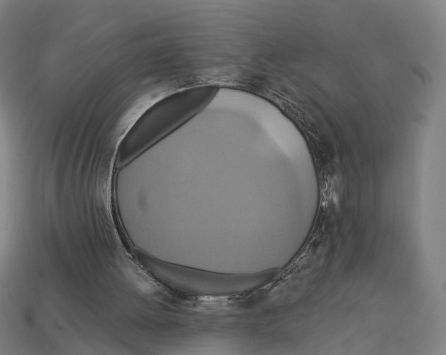 X0000113080052200909250957