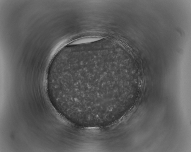 X0000113080053200909250957