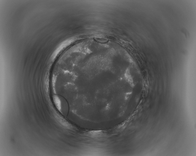 X0000113080054200909250957