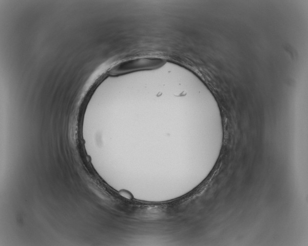 X0000113080056200909250957