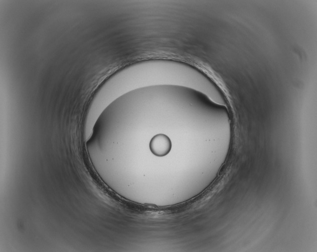 X0000113080057200909250957