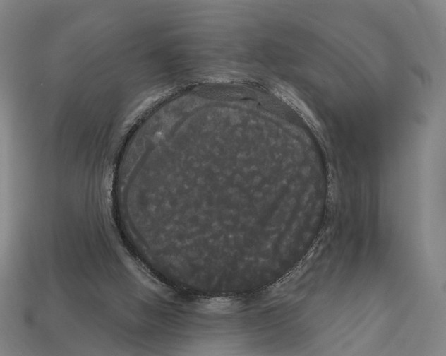 X0000113080058200909250958