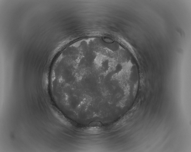 X0000113080059200909250958