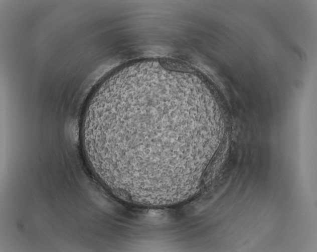 X0000113080060200909250958