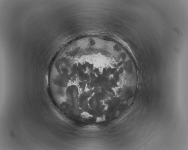 X0000113080061200909250958