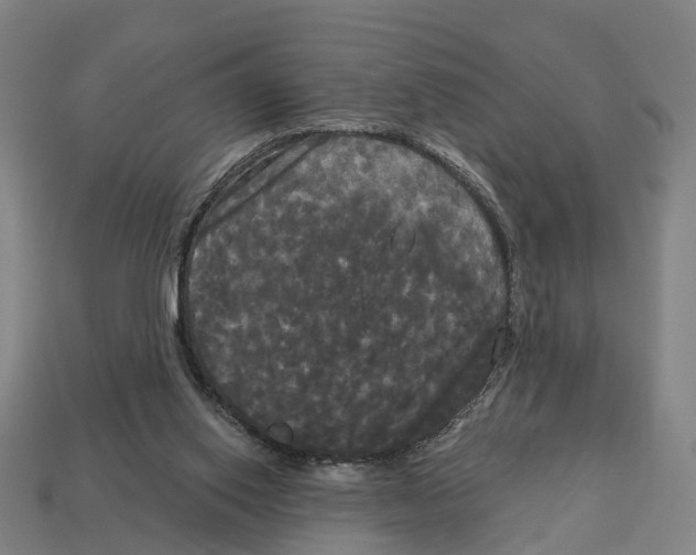X0000113080062200909250958