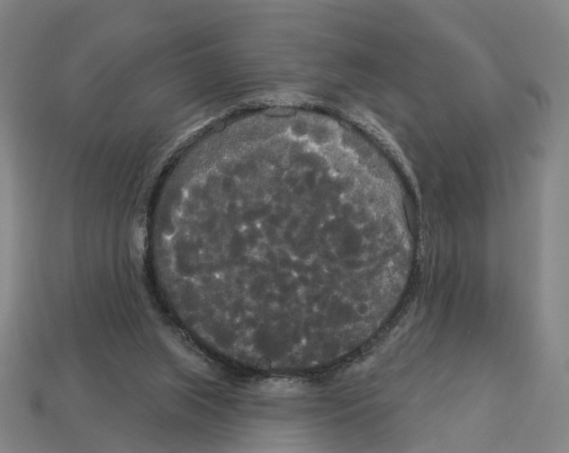 X0000113080063200909250958