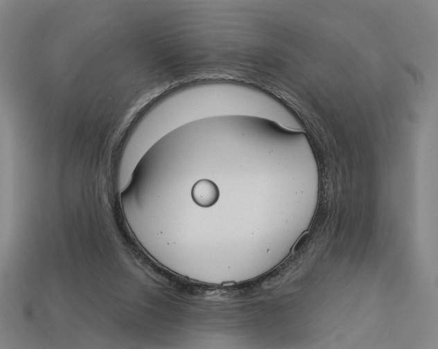 X0000113080064200909250958