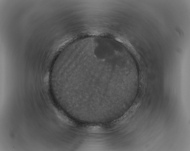 X0000113080066200909250958