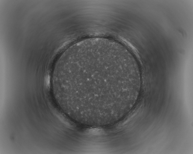 X0000113080067200909250958