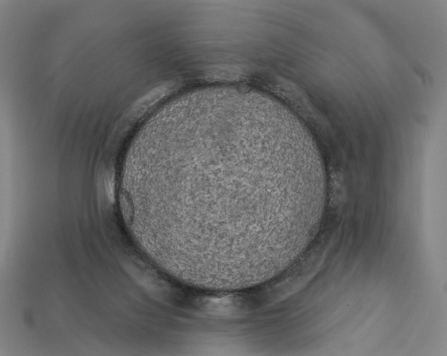 X0000113080068200909250958