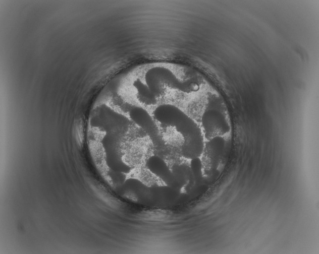 X0000113080069200909250958