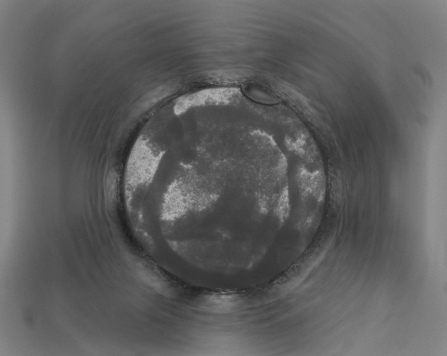 X0000113080071200909250958