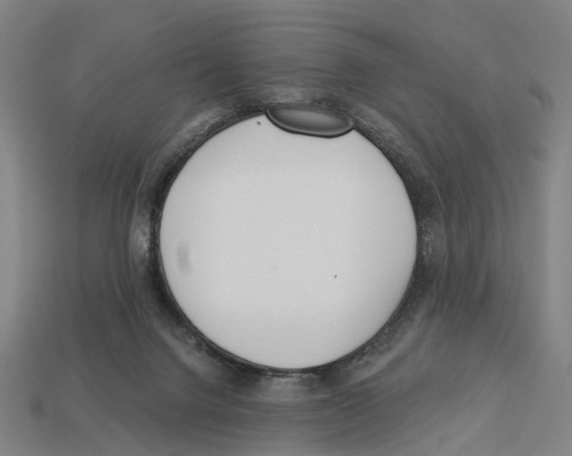 X0000113080072200909250958