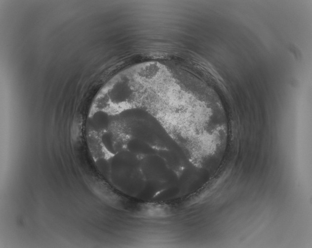 X0000113080073200909250958