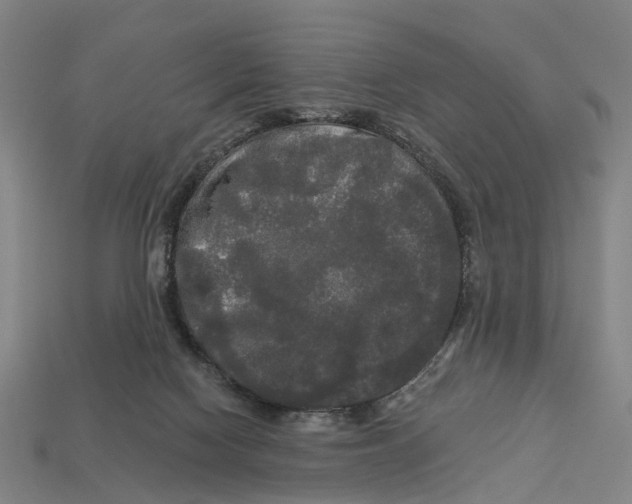 X0000113080074200909250958