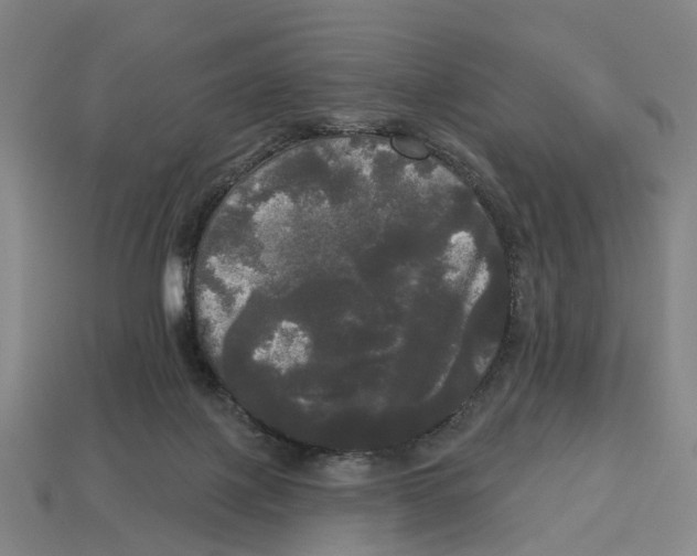 X0000113080075200909250958