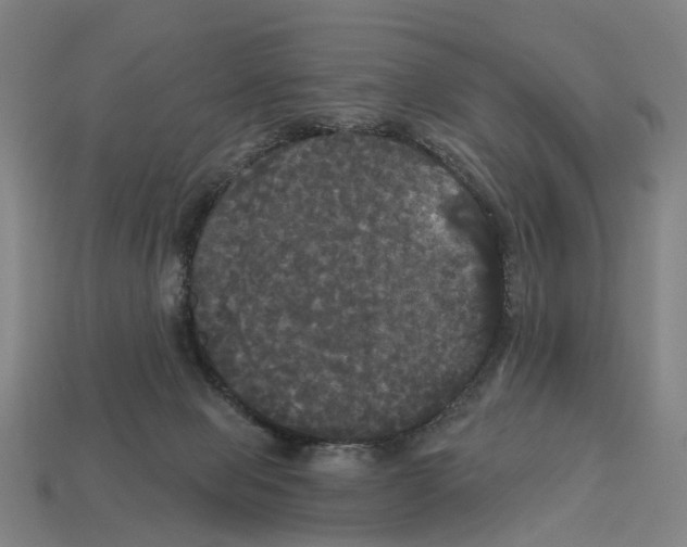 X0000113080077200909250958