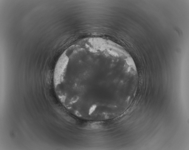 X0000113080078200909250958