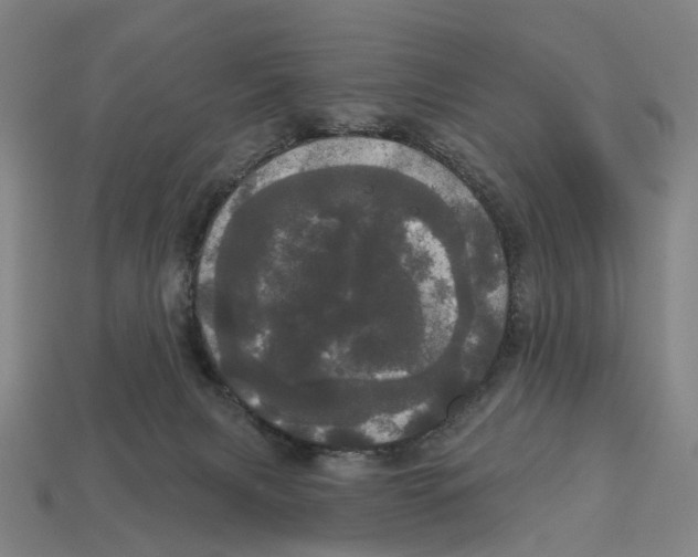 X0000113080079200909250958