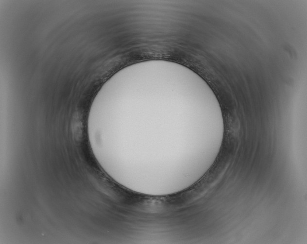 X0000113080080200909250958