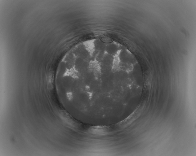 X0000113080082200909250958