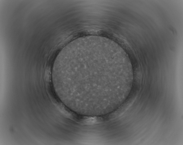 X0000113080083200909250958