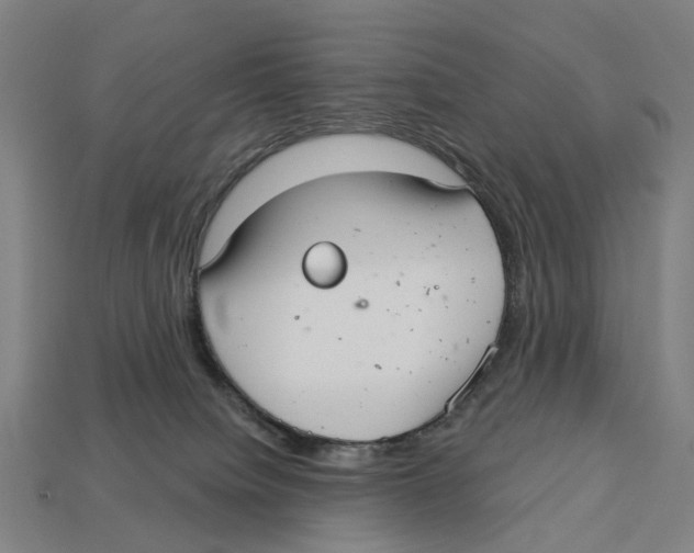 X0000113080084200909250958