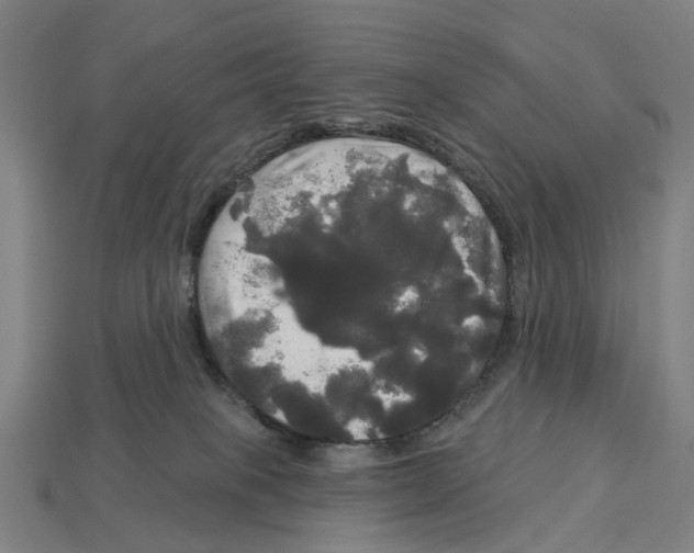 X0000113080085200909250958