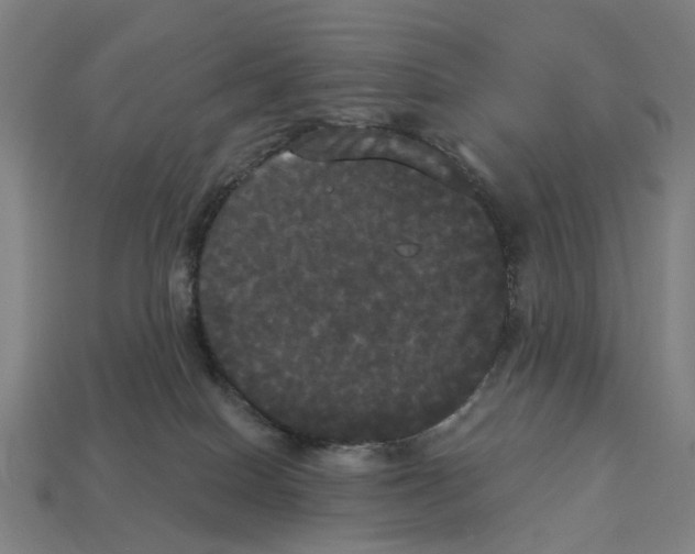 X0000113080086200909250958