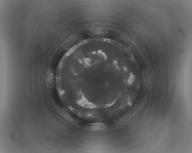 X0000113080087200909250958