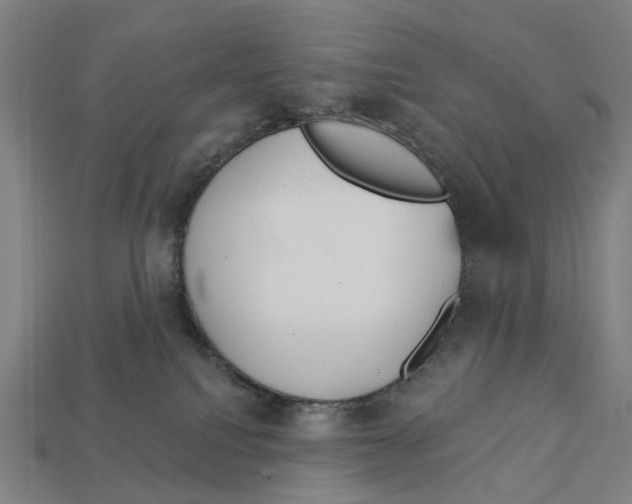 X0000113080088200909250958