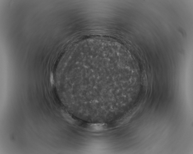 X0000113080089200909250958