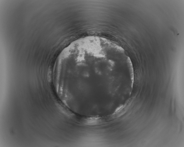 X0000113080090200909250958