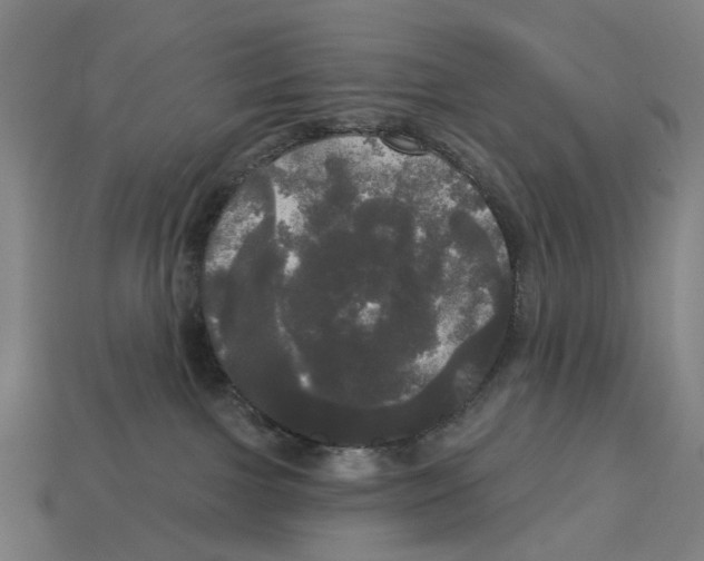 X0000113080091200909250958