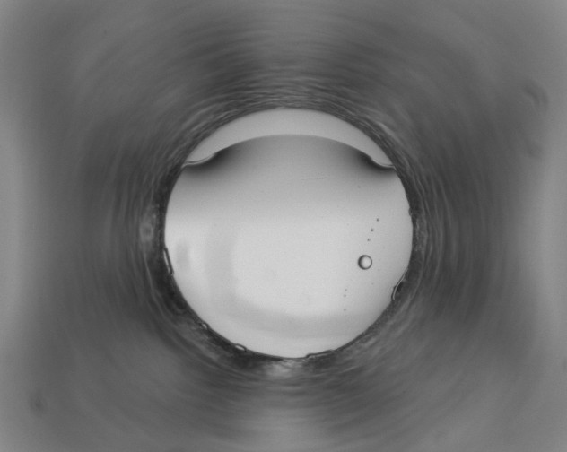 X0000113080092200909250958