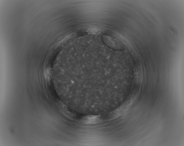 X0000113080093200909250958