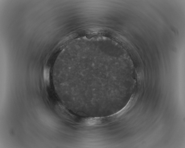 X0000113080094200909250958