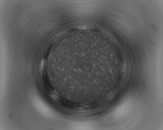 X0000113080095200909250958