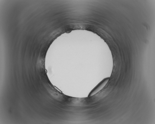 X0000113080096200909250958