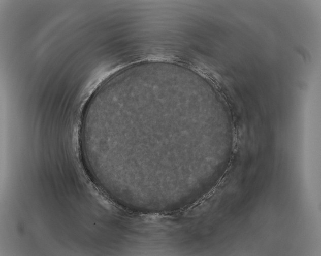 X0000113080098200909250957