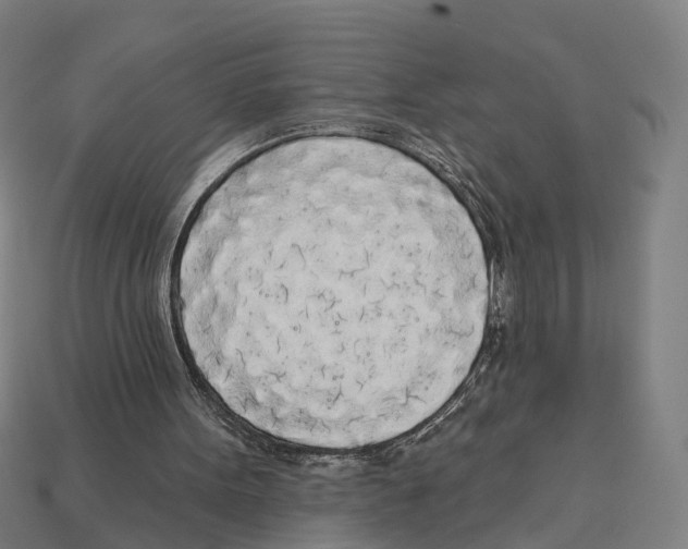 X0000113080099200909250957